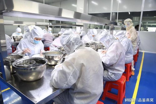 2025燕窩行業(yè)頭部加工廠探索 燕窩工廠代加工現狀與技術服務分析