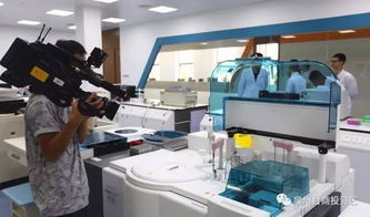 驚艷登場！泉州版迪士尼即將亮相，預計最快2019年開放，未來片區聚焦針紡織品銷售