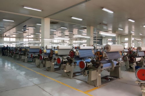 破浪前行 金輪針布業績增長30%背后的多維驅動力