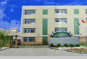 吳江市*印花公司榮獲GRS認(rèn)證，引領(lǐng)針紡織品及原料銷售新紀(jì)元